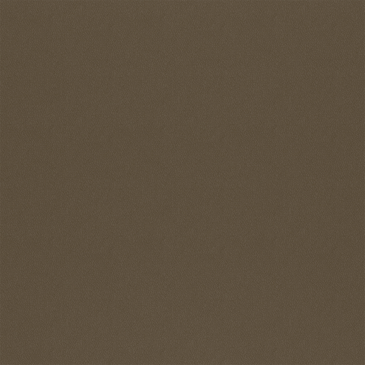 T160 tigermoth finish reference