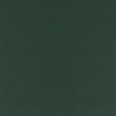 T09 forest finish reference
