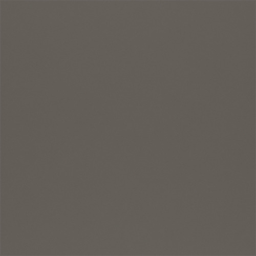 T38 silver finish reference
