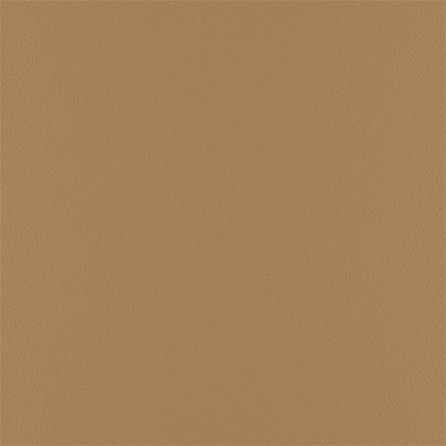 T11 camel finish reference