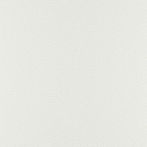 T10 white finish reference