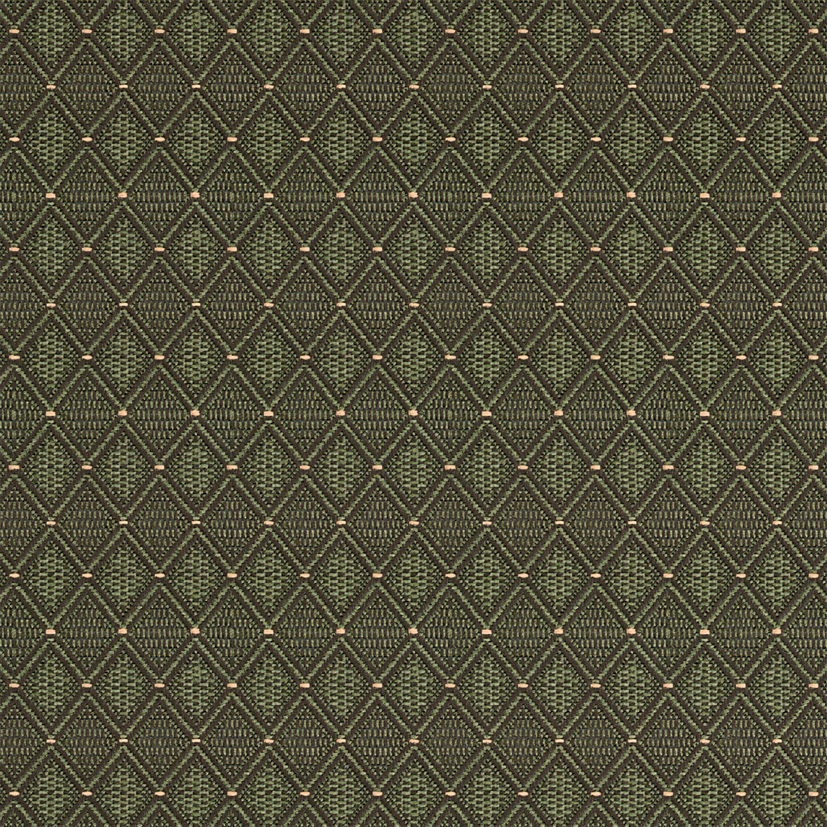 Jewel lichen finish reference