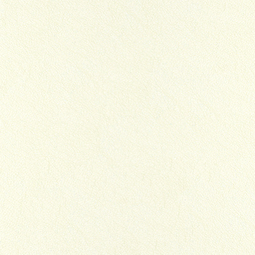 T14 snow finish reference