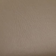Beige vinyl sample