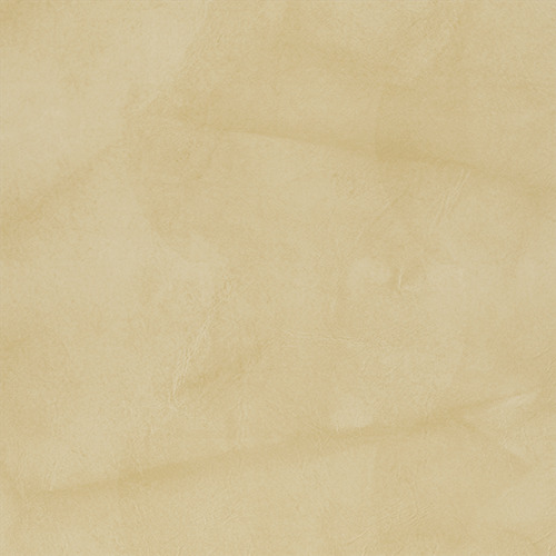 T11 white ii finish reference