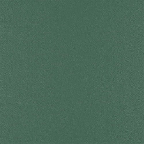 T09 forest finish reference