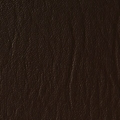 Teak sample