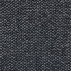 Oxford marine slate sample