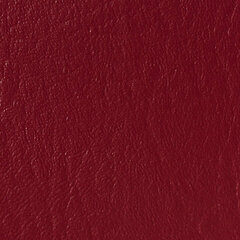 Plum sample