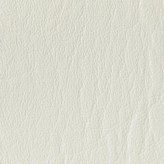 White ice sample