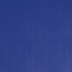 T01 blue sample