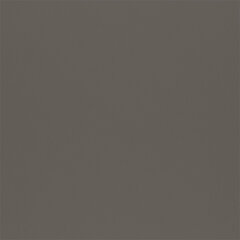 T38 silver sample