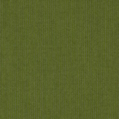 Spectrum cilantro sample