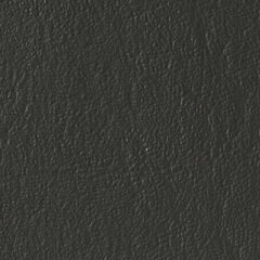 Graphite sample