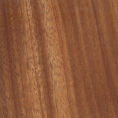 African mahogany sample