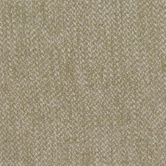 Fleck spring fern sample