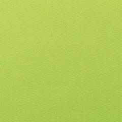 Canvas macaw sample