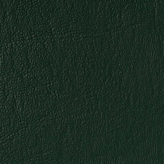 Emerald sample
