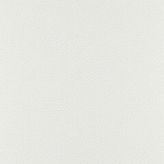 T10 white sample
