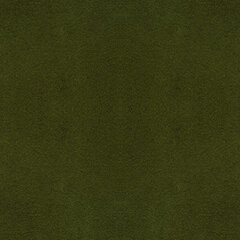 T05 moss green sample