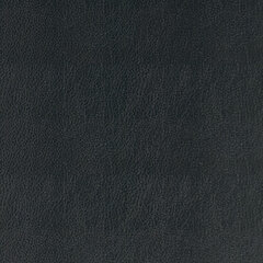 T08 spruce sample
