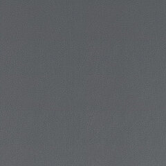 T09 sterling sample