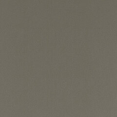 T38 silver sample