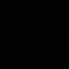 Black sample