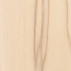 Nordic driftwood sample