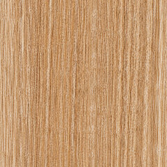 Alpine driftwood sample