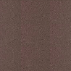 T03 mocha sample