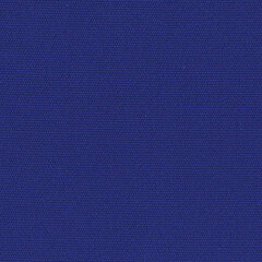 Canvas true blue sample