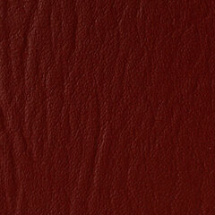 Ruby sample