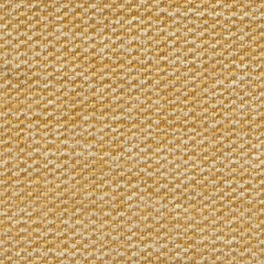 Oxford golden maize sample
