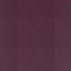 T76 grape sample