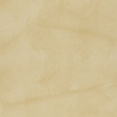 T11 white ii sample