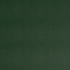 T07 dark green sample